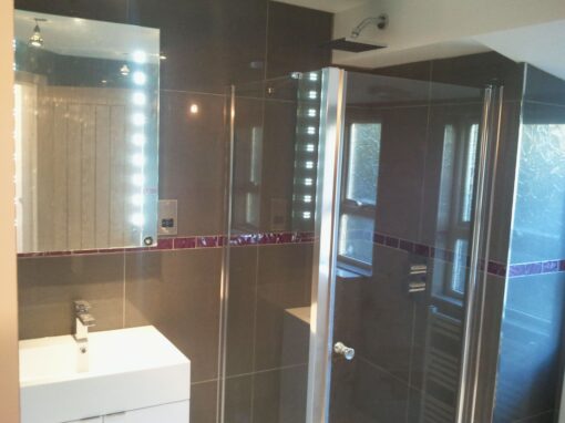 Project 15: Purple bathroom