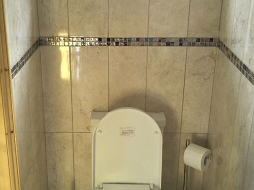 Project 23: Cream toilet