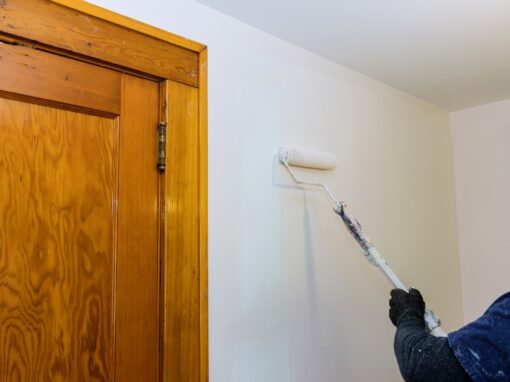 Project 26: Professional wall painting